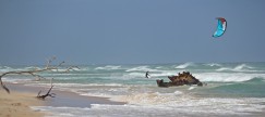 IMG_9119 - Version 2